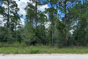 0000 SE 25th St, Morriston, FL 32668 - Photo 1