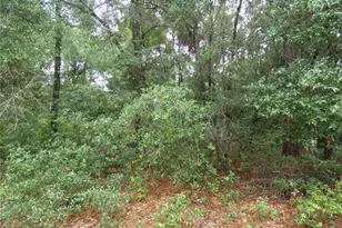 Tbd SW 151 St Pl, Dunnellon, FL 34432 - Photo 1