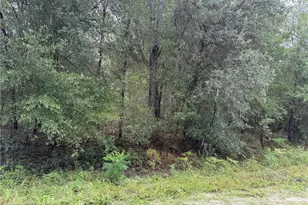 Tbd SW 125th Terrace, Dunnellon, FL 34432 - Photo 1