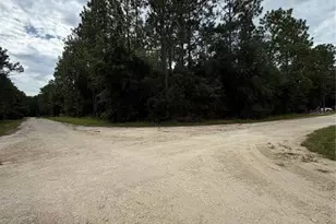 00 SW 48 Ln Rd, Ocala, FL 34481 - Photo 1