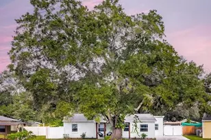 4201 S Renellie Dr, Tampa, FL 33611 - Photo 1