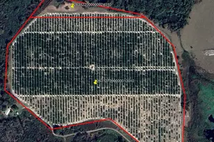 Buffum Church Rd, Fort Meade, FL 33841 - Photo 1