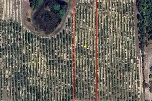 Mammoth Grove Rd, Lake Wales, FL 33898 - Photo 1