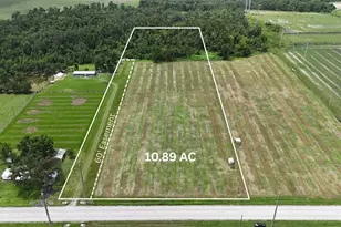 Sr-62, Bowling Green, FL 33834 - Photo 1