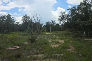 0 Woodville St, Lake Wales, FL 33853 - Photo 1