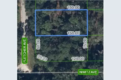 429 Fletcher Avenue, Lake Placid, FL 33852 - Photo 1