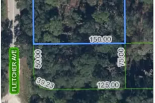 429 Fletcher Ave, Lake Placid, FL 33852 - Photo 1