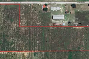 Davis Brothers Rd, Frostproof, FL 33843 - Photo 1
