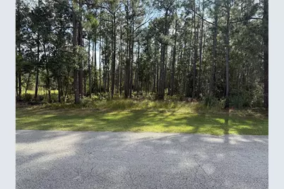 Limpkin Lane, Frostproof, FL 33843 - Photo 1