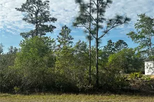 618 Poinciana Dr, Indian Lake Estates, FL 33855 - Photo 1