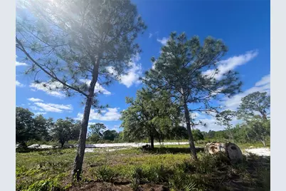Fazzini Drive, Frostproof, FL 33843 - Photo 1