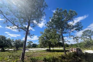 Fazzini Dr, Frostproof, FL 33843 - Photo 1
