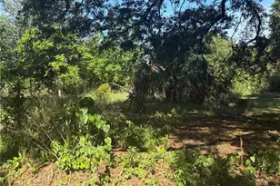 1251 37th St NW, Winter Haven, FL 33881 - Photo 1