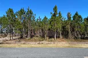 2988 SW Cr 534, Mayo, FL 32066 - Photo 1