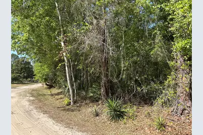 Airport Road, Astor, FL 32102 - Photo 1