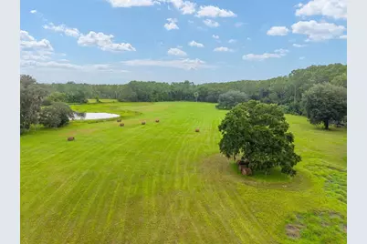 Ne 127th Street, Fort Mc Coy, FL 32134 - Photo 1