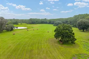 NE 127th St, Fort Mc Coy, FL 32134 - Photo 1