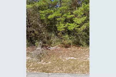 Oxford Avenue, Chipley, FL 32428 - Photo 1