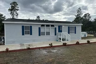 45716 Palmetto St, Paisley, FL 32767 - Photo 1