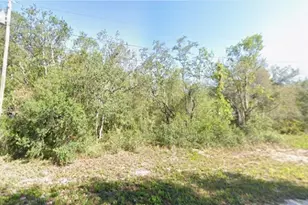 2180 W Bonita Rd, Avon Park, FL 33825 - Photo 1