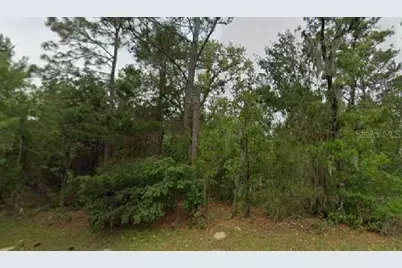 Marion Oaks Boulevard, Ocala, FL 34473 - Photo 1
