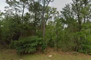 Marion Oaks Blvd, Ocala, FL 34473 - Photo 1