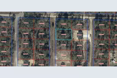 Ne 153rd Avenue, Williston, FL 32696 - Photo 1