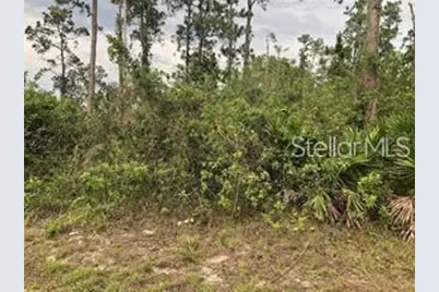 20581 NW 246th Street, Okeechobee, FL 34972 - Photo 1