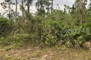 20581 NW 246th St, Okeechobee, FL 34972 - Photo 1