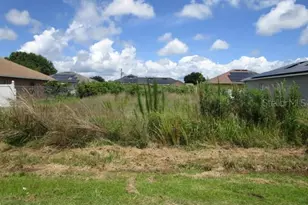 805 Massy Ct, Kissimmee, FL 34759 - Photo 1