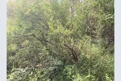 Sweetwater Trail, Kissimmee, FL 34747 - Photo 1