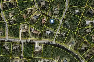 SW 213th Ter Rd, Dunnellon, FL 34431 - Photo 1