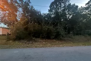 0 NW 19th Ln, Ocala, FL 34482 - Photo 1