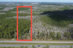 20507 E Colonial Dr, Christmas, FL 32709 - Photo 1