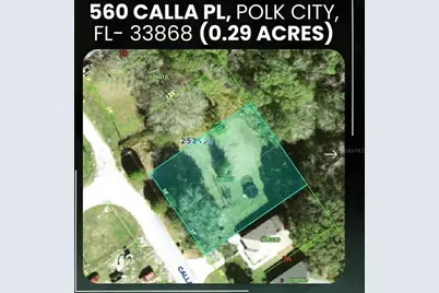 560 Calla Place, Polk City, FL 33868 - Photo 1