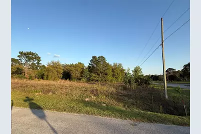 Lot 1 SW 65th Loop, Dunnellon, FL 34432 - Photo 1