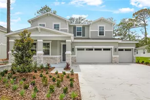 1067 Cloud Ridge Ct, Mount Dora, FL 32757 - Photo 1