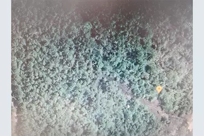 Holopaw Groves Road, Saint Cloud, FL 34771 - Photo 1