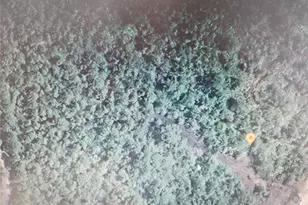 Holopaw Groves Rd, Saint Cloud, FL 34771 - Photo 1