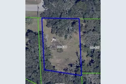 E 10th Street, Apopka, FL 32703 - Photo 1