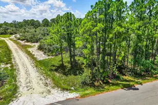 385 Jack Weisser Blvd, Lake Placid, FL 33852 - Photo 1