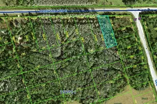 Deen Still Rd, Polk City, FL 33868 - Photo 1