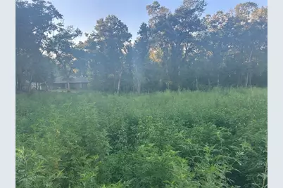 140th Place SE, Summerfield, FL 34491 - Photo 1