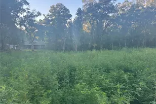 140th Pl SE, Summerfield, FL 34491 - Photo 1