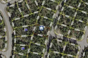 0 Fisher Course, Ocklawaha, FL 32179 - Photo 1