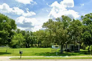 1119 S Rio Grande Ave, Orlando, FL 32805 - Photo 1