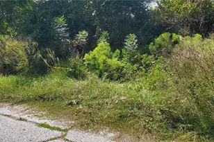 Sebring Ct, Poinciana, FL 34759 - Photo 1