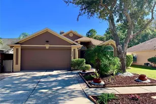 8553 Manassas Rd, Tampa, FL 33635 - Photo 1