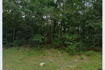 10256 N Adena Terrace, Citrus Springs, FL 34434 - Photo 1