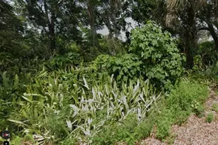 Almond Ave, Sarasota, FL 34234 - Photo 1